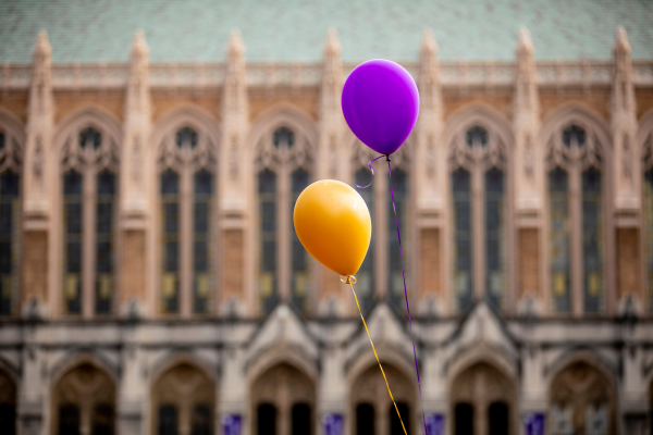purple and gold balloons in front of the Suzzallo library on at UW Seattle